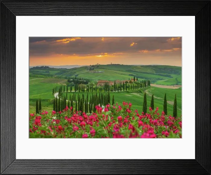 Framed Print : Winding road on the rolling hills of Tuscany near Asciano in Siena district, Italy Framed Print : Winding road on the rolling hills of Tuscany near Asciano in Siena district, Italy