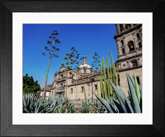 Framed Print : Metropolitan Cathedral, Zocalo or Constitution Square, Mexico City, Mexico