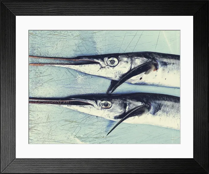 Framed Print : Fresh fish on display at local market, Stonetown. Zanzibar, Tanzania Framed Print : Fresh fish on display at local market, Stonetown. Zanzibar, Tanzania