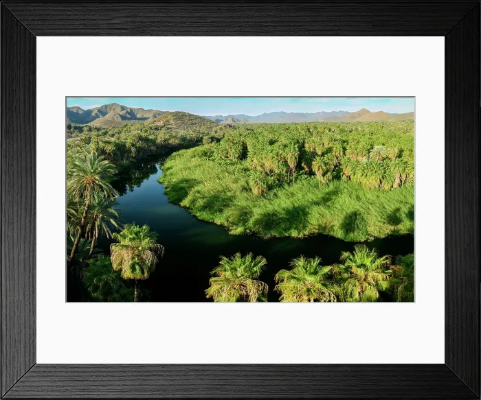Framed Print : Mexico, Baja California Sur, travel, Mulege, river Framed Print : Mexico, Baja California Sur, travel, Mulege, river