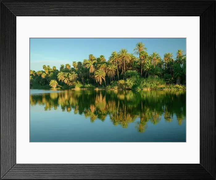Framed Print : Mexico, Baja California Sur, San Ignacio, lgoon
