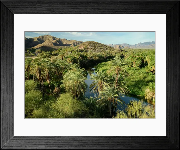 Framed Print : Mexico, Baja California Sur, Mulege, river and date palms Framed Print : Mexico, Baja California Sur, Mulege, river and date palms