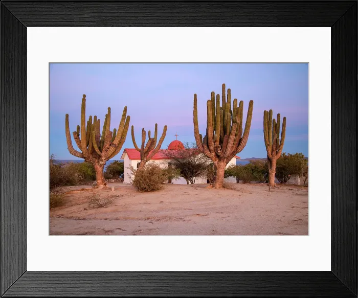 Framed Print : Mexico, Baja California Sur, La Venatna, church and cardon cactus Framed Print : Mexico, Baja California Sur, La Venatna, church and cardon cactus