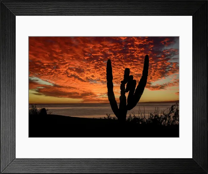 Framed Print : Mexico, Baja California sur, Baja, La Ventana, Sea of Cortez Framed Print : Mexico, Baja California sur, Baja, La Ventana, Sea of Cortez