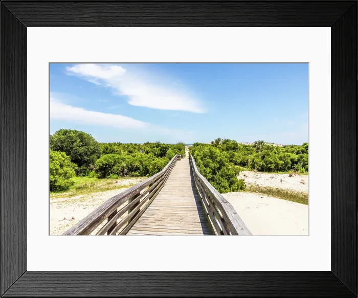 Framed Print : Cumberland Island National Seashore, Georgia, USA