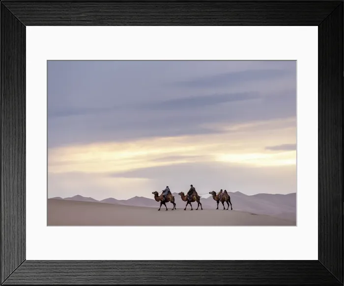 Framed Print : Camel herders and camels in the Khongor Dunes, Gobi Desert, Mongolia, Asia Framed Print : Camel herders and camels in the Khongor Dunes, Gobi Desert, Mongolia, Asia