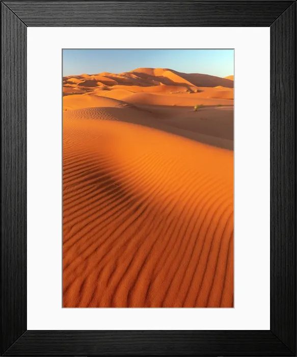 Framed Print : Orange sand dunes at sunset, Erg Chebbi, Sahara Desert, near Merzouga, Morocco