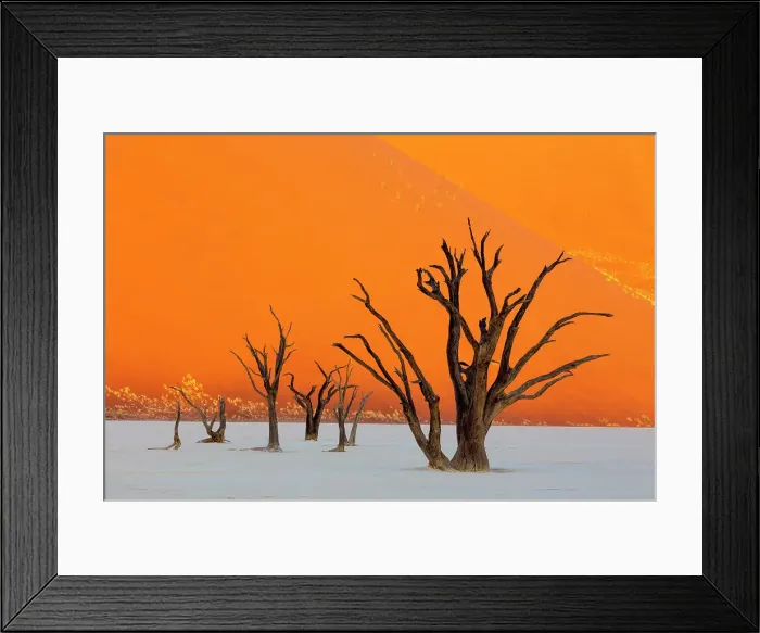 Framed Print : Dead camel thorn trees on a dried-up white mud pan & sand dunes, Dead Vlei, Namib-Naukluft National Park, Namib Desert, Namibia Framed Print : Dead camel thorn trees on a dried-up white mud pan & sand dunes, Dead Vlei, Namib-Naukluft National Park, Namib Desert, Namibia