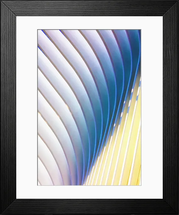 Framed Print : Abstract detail of the exterior of The Oculus, World Trade Centre Station, Manhattan, New York City, New York, USA Framed Print : Abstract detail of the exterior of The Oculus, World Trade Centre Station, Manhattan, New York City, New York, USA