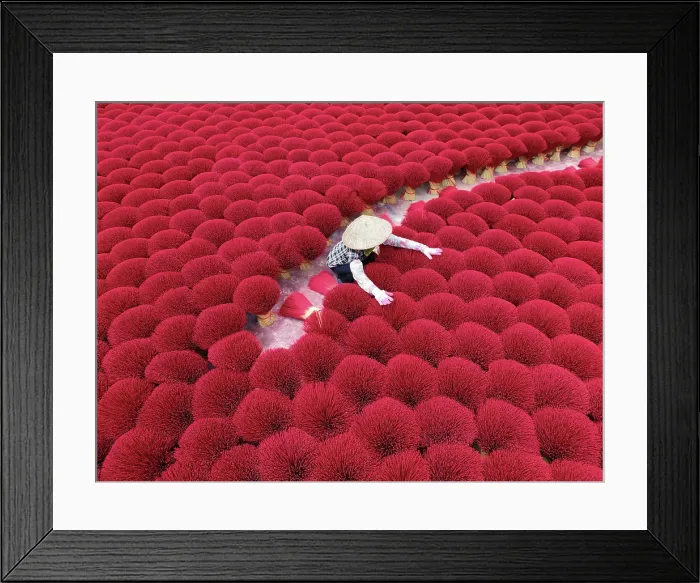 Framed Print : Local woman laying out colourful Incense sticks to dry, Quang Phu Cau village, near Hanoi, Vietnam Framed Print : Local woman laying out colourful Incense sticks to dry, Quang Phu Cau village, near Hanoi, Vietnam