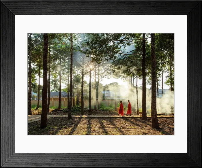 Framed Print : Two Buddhist monks walking through smoke from smouldering leaves, Xien Can Pagoda, Bac Lieu, Mekong Delta, Vietnam Framed Print : Two Buddhist monks walking through smoke from smouldering leaves, Xien Can Pagoda, Bac Lieu, Mekong Delta, Vietnam