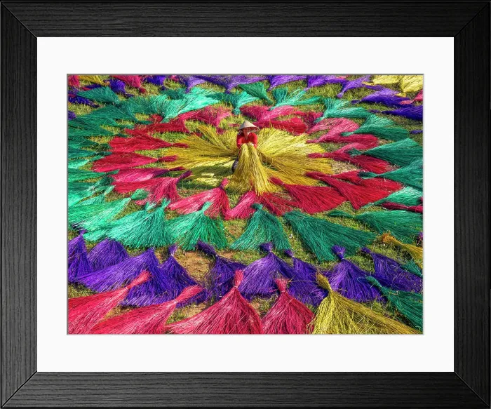 Framed Print : Dyed sedge for sleeping mats being laid out to dry in the sun, North Vietnam Framed Print : Dyed sedge for sleeping mats being laid out to dry in the sun, North Vietnam