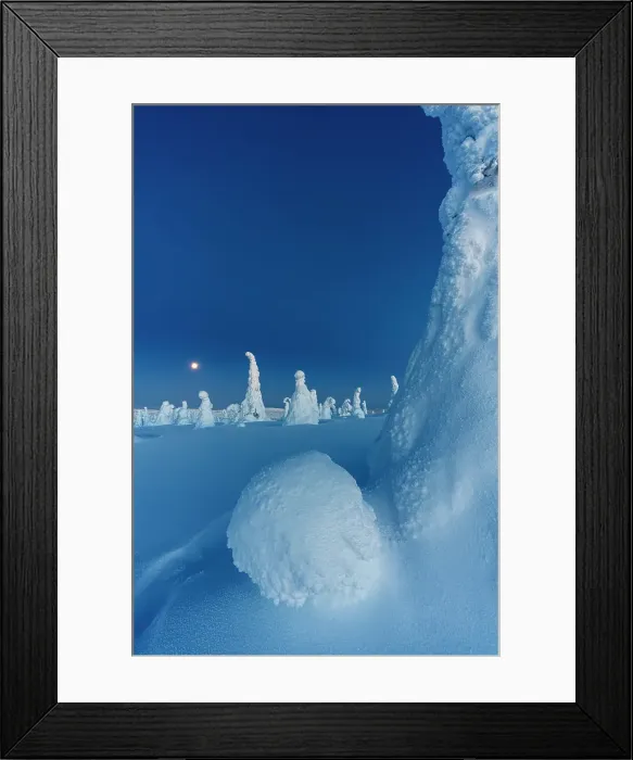 Framed Print : Moonlight over sparse frozen trees in the surreal winter snowy forest, Riisitunturi National Park, Posio, Lapland, Finland Framed Print : Moonlight over sparse frozen trees in the surreal winter snowy forest, Riisitunturi National Park, Posio, Lapland, Finland
