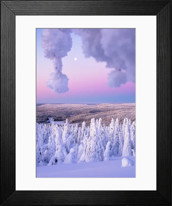 Framed Print : Moonlight over the snowy arctic forest framed by ice sculptures at dawn, Riisitunturi National Park, Posio, Lapland, Finland Framed Print : Moonlight over the snowy arctic forest framed by ice sculptures at dawn, Riisitunturi National Park, Posio, Lapland, Finland