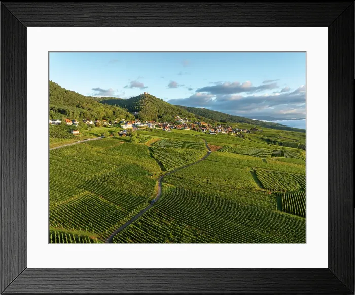 Framed Print : Aerial view of large vineyard in Colmar, Alsace, France Framed Print : Aerial view of large vineyard in Colmar, Alsace, France