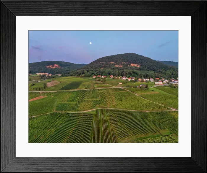 Framed Print : Aerial view of large vineyard in Colmar, Alsace, France Framed Print : Aerial view of large vineyard in Colmar, Alsace, France