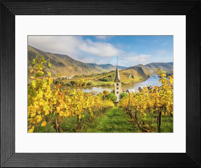 Framed Print : View from the vineyards of the Calmont vineyard to the town of Bremm with the church of St. Laurentius and the Moselle loop, Bremm, Mosel, Rhineland-Palatinate, Germany Framed Print : View from the vineyards of the Calmont vineyard to the town of Bremm with the church of St. Laurentius and the Moselle loop, Bremm, Mosel, Rhineland-Palatinate, Germany