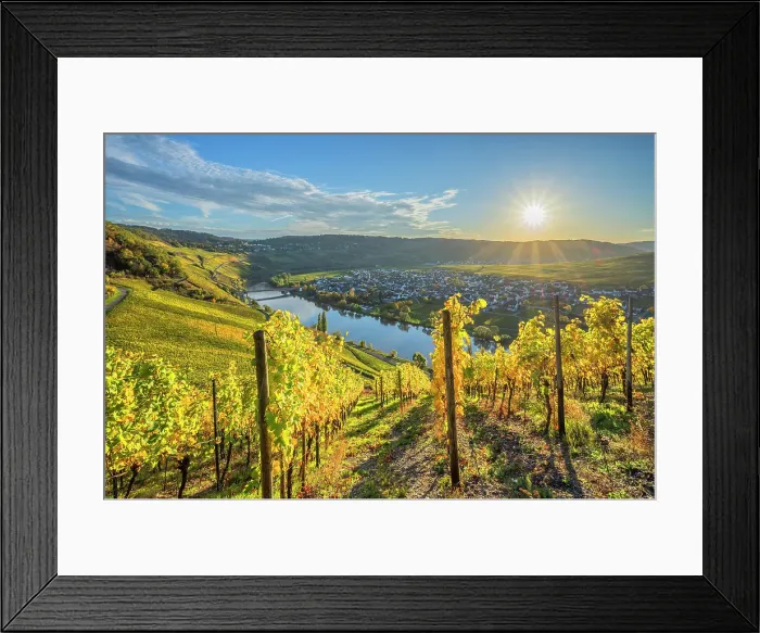 Framed Print : Sunset at Trittenheim, Mosel, Mosel valley, Rhineland-Palatinate, Germany Framed Print : Sunset at Trittenheim, Mosel, Mosel valley, Rhineland-Palatinate, Germany