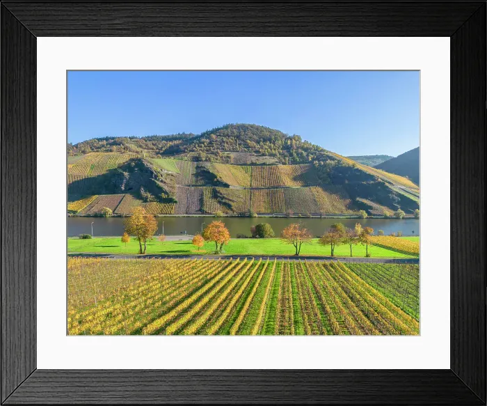 Framed Print : Aerial view at Geierslay rocks near Wintrich, Mosel, Mosel valley, Rhineland-Palatinate, Germany Framed Print : Aerial view at Geierslay rocks near Wintrich, Mosel, Mosel valley, Rhineland-Palatinate, Germany