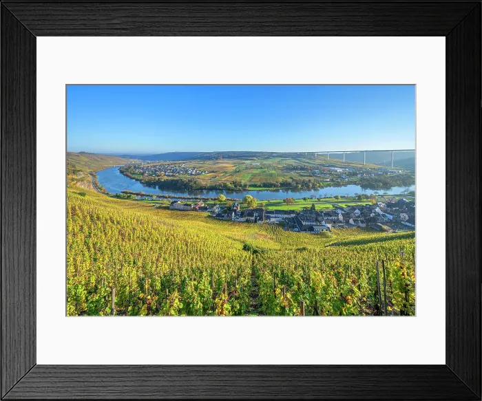 Framed Print : Vineyard Urziger Wurzgarten near Urzig with Mosel bridge, Mosel, Mosel valley, Rhineland-Palatinate, Germany Framed Print : Vineyard Urziger Wurzgarten near Urzig with Mosel bridge, Mosel, Mosel valley, Rhineland-Palatinate, Germany