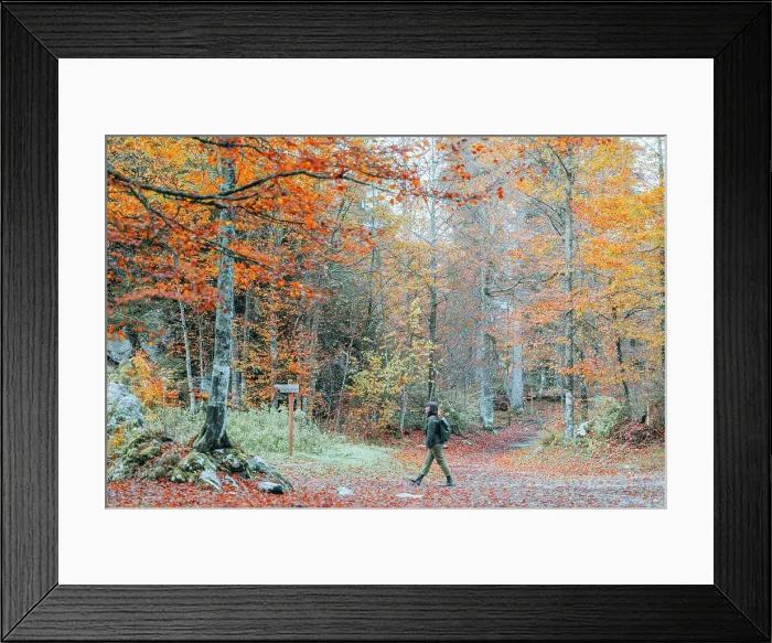 Framed Print : Hiking at Fusine Lakes in Autumn, Friuli Venezia Giulia, Italy (MR) Framed Print : Hiking at Fusine Lakes in Autumn, Friuli Venezia Giulia, Italy (MR)