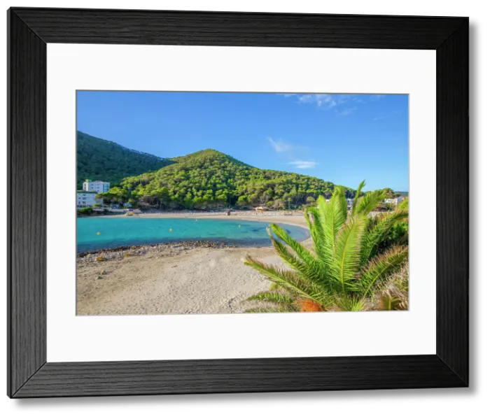 Framed Print : Beach at Cala Llonga, Ibiza, Balearic Islands, Spain Framed Print : Beach at Cala Llonga, Ibiza, Balearic Islands, Spain
