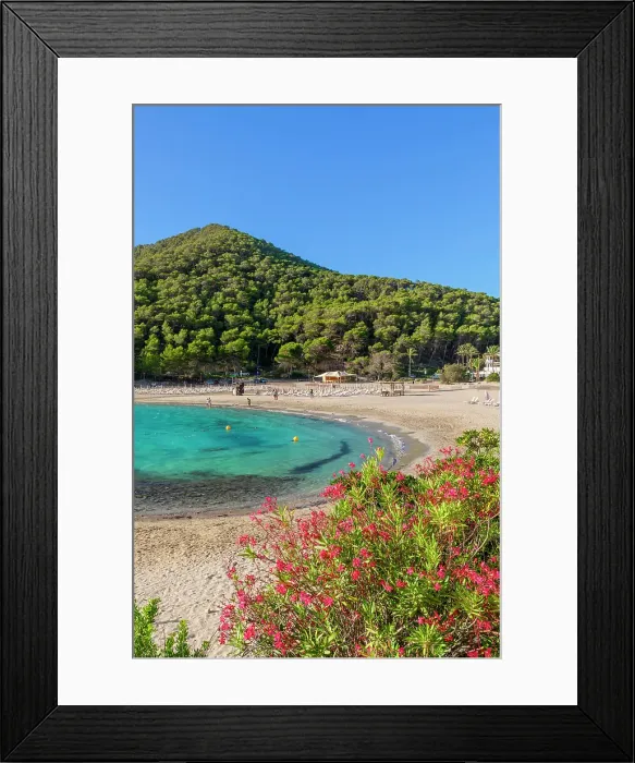Framed Print : Beach at Cala Llonga, Ibiza, Balearic Islands, Spain Framed Print : Beach at Cala Llonga, Ibiza, Balearic Islands, Spain