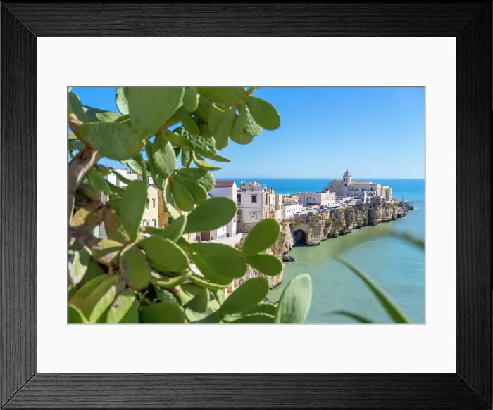 Framed Print : Vieste, Gargano, Foggia, Puglia, Italy. prickly pears on foreground Framed Print : Vieste, Gargano, Foggia, Puglia, Italy. prickly pears on foreground