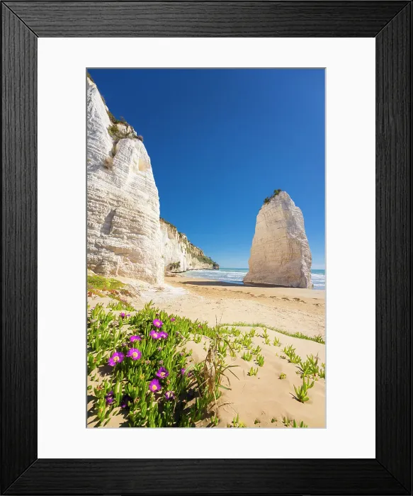 Framed Print : Majestic Pizzomunno Rock in Vieste, A Natural Wonder, Puglia, Italy