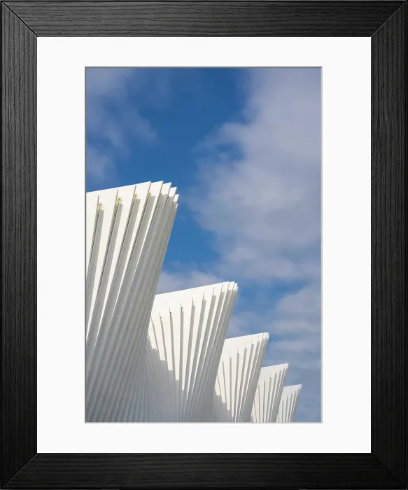 Framed Print : Stazione AV Mediopadana, Reggio Emilia, Italy. Design by Arch. Calatrava Framed Print : Stazione AV Mediopadana, Reggio Emilia, Italy. Design by Arch. Calatrava