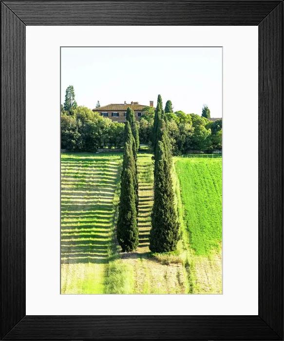 Framed Print : View towards Gladiator villa and cypress trees, Val d'Orcia, Tuscany, Italy Framed Print : View towards Gladiator villa and cypress trees, Val d'Orcia, Tuscany, Italy