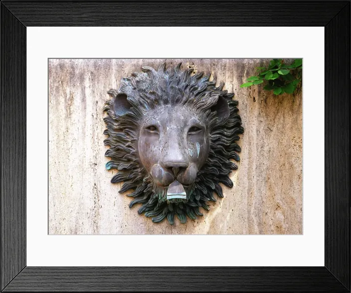Framed Print : Lion head on a fountain, Rome, Italy Framed Print : Lion head on a fountain, Rome, Italy
