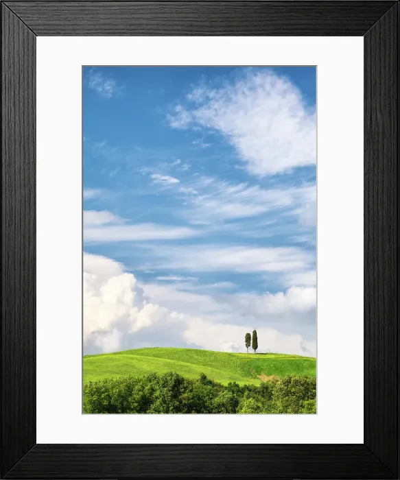 Framed Print : Cypress trees and rolling hills, Val d'Orcia, Tuscany, Italy Framed Print : Cypress trees and rolling hills, Val d'Orcia, Tuscany, Italy
