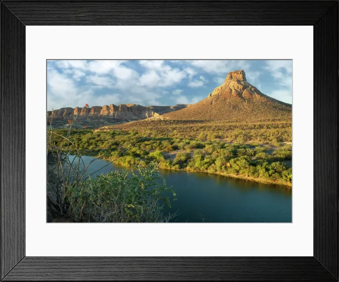 Framed Print : Mexico, Baja California, La Purisima