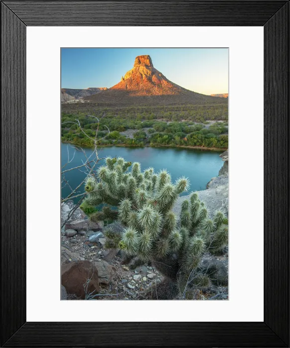 Framed Print : Mexico, Baja California, La Purisima