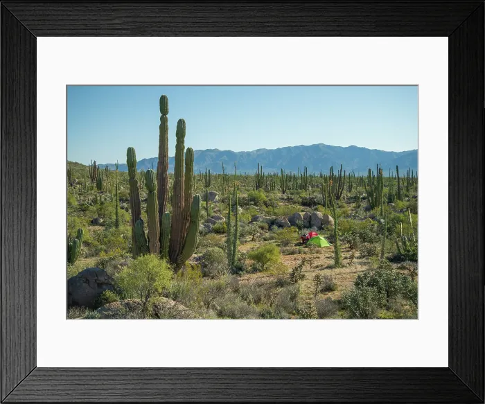 Framed Print : Mexico, Baja California, Desert Camp, Central baja Framed Print : Mexico, Baja California, Desert Camp, Central baja