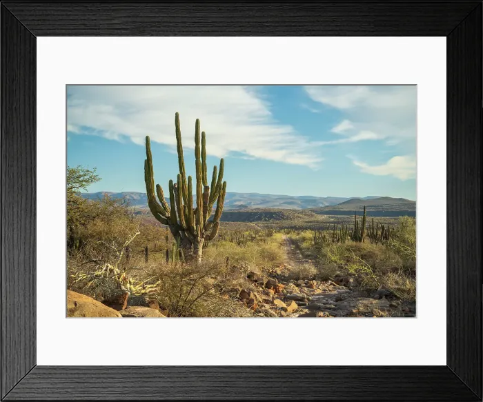 Framed Print : Mexico, Baja California, backroad near La Purisima Framed Print : Mexico, Baja California, backroad near La Purisima
