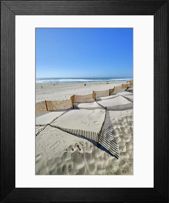 Framed Print : In the beach of Costa Nova, a system to retain the sand carried by the wind and to stop it to form a new sand dune. Portugal Framed Print : In the beach of Costa Nova, a system to retain the sand carried by the wind and to stop it to form a new sand dune. Portugal