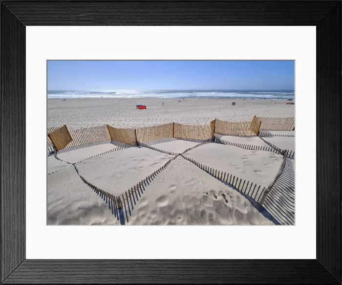 Framed Print : In the beach of Costa Nova, a system to retain the sand carried by the wind and to stop it to form a new sand dune. Portugal Framed Print : In the beach of Costa Nova, a system to retain the sand carried by the wind and to stop it to form a new sand dune. Portugal