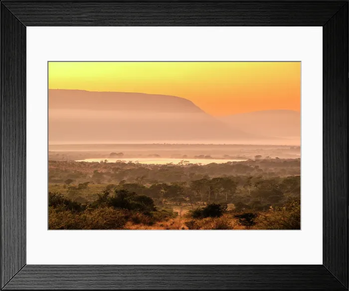 Framed Print : Dawn in the savannah, Zimanga Private Game Reserve, Mkuze, KwaZulu Natal, South Africa Framed Print : Dawn in the savannah, Zimanga Private Game Reserve, Mkuze, KwaZulu Natal, South Africa