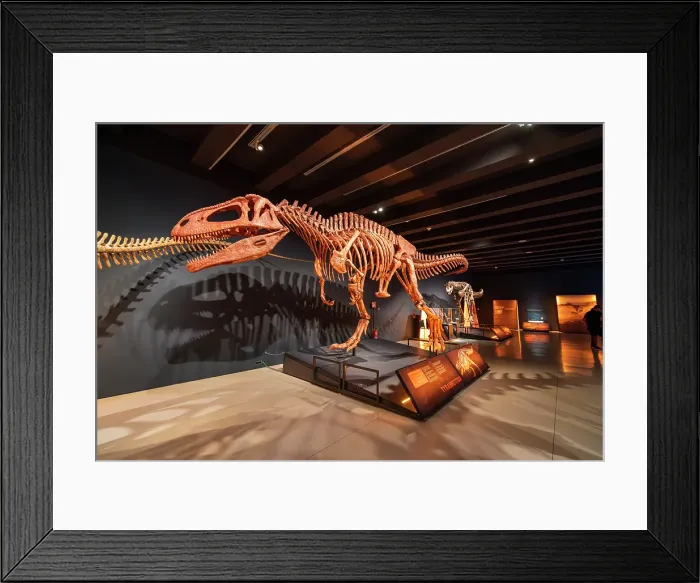 Framed Print : Skeleton of Tyrannotitan dinosaur at exhibition in CaixaForum Madrid in Paseo del Prado, Madrid, Spain
