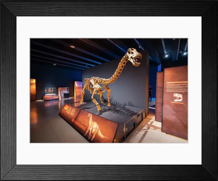 Framed Print : Skeleton of Neuquensaurus dinosaur at exhibition in CaixaForum Madrid in Paseo del Prado, Madrid, Spain