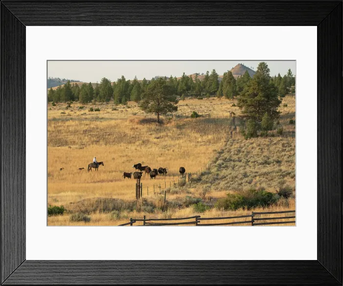 Framed Print : USA, Montana, Helena, Gates of the Mountains, Cowboy, 2024