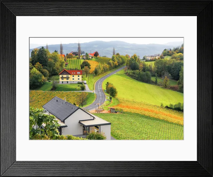 Framed Print : Autumn landscape and vineyards in Spicnik, Slovenia Framed Print : Autumn landscape and vineyards in Spicnik, Slovenia