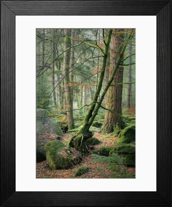 Framed Print : The Hermitage, Dunkeld, Perthshire, Scotland Framed Print : The Hermitage, Dunkeld, Perthshire, Scotland
