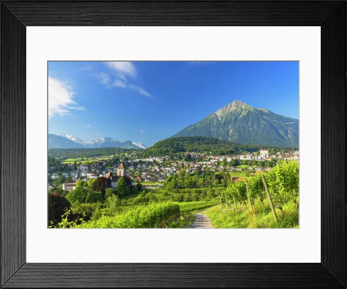 Framed Print : Spiez Castle, vineyards and Niesen mountain, Spiez, Canton of Bern, Switzerland Framed Print : Spiez Castle, vineyards and Niesen mountain, Spiez, Canton of Bern, Switzerland