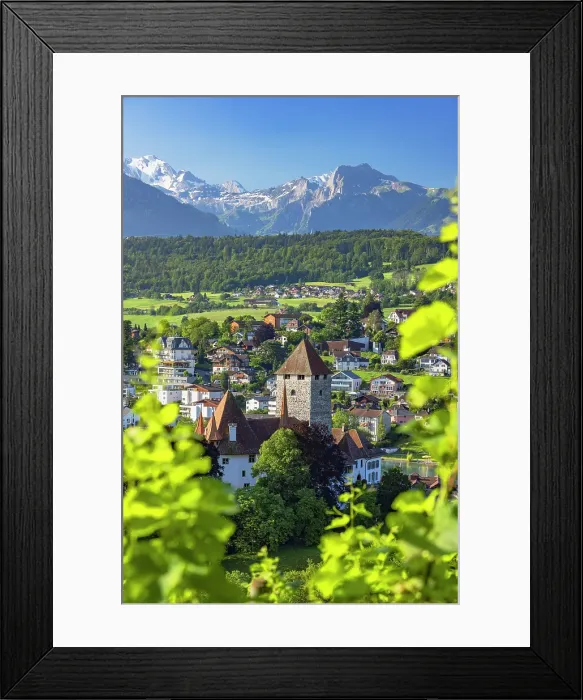 Framed Print : Spiez Castle and vineyards, Spiez, Canton of Bern, Switzerland Framed Print : Spiez Castle and vineyards, Spiez, Canton of Bern, Switzerland