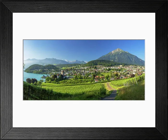Framed Print : Spiez Castle, vineyards and Niesen mountain, Spiez, Canton of Bern, Switzerland