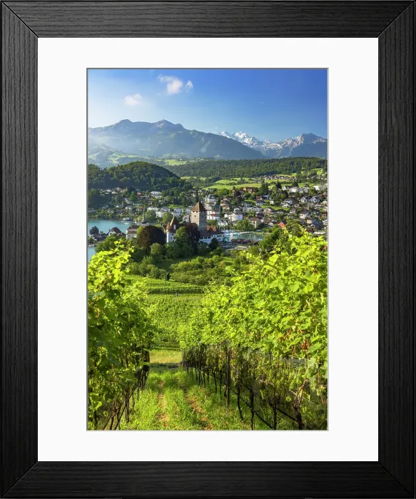 Framed Print : Spiez Castle and vineyards, Spiez, Canton of Bern, Switzerland Framed Print : Spiez Castle and vineyards, Spiez, Canton of Bern, Switzerland