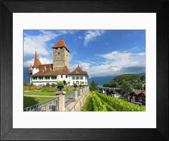 Framed Print : Spiez Castle, Spiez, Canton of Bern, Switzerland Framed Print : Spiez Castle, Spiez, Canton of Bern, Switzerland